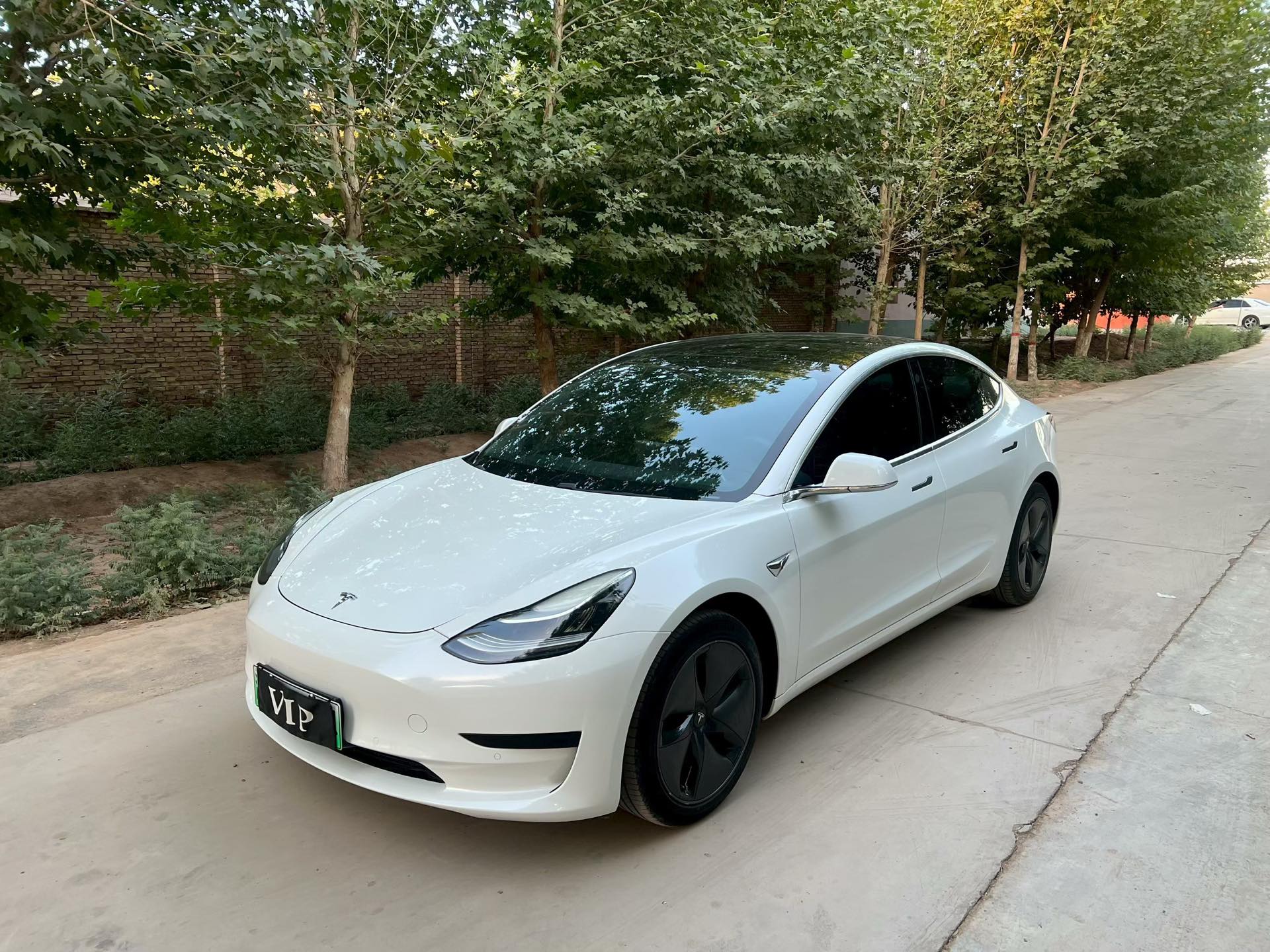 Tesla Model 3 (Imported) 2019 car image 