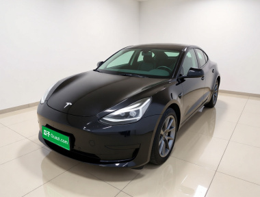 Tesla Model 3 2021 Tesla Model 3 2021 car image