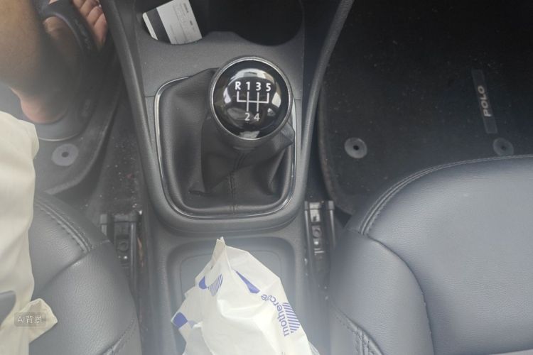 Volkswagen Polo 2016 car image #16