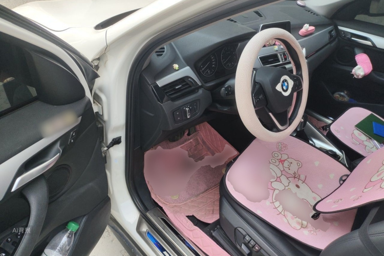 BMW X1 2017 #18 BMW X1 2017 car image #18