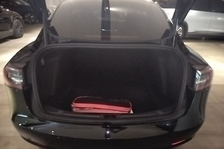 Tesla Model 3 2021 car image #19