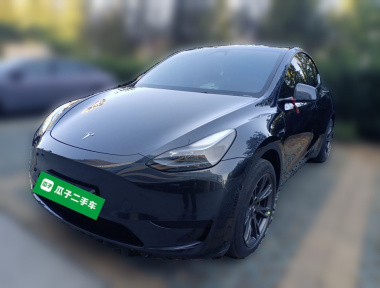 Tesla Model Y 2024 car image 