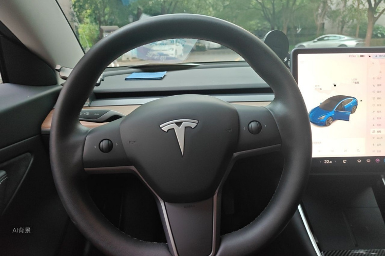 Tesla Model 3 2020 car image #12