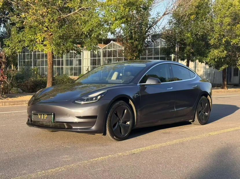 Tesla Model 3 2020 #3 Tesla Model 3 2020 car image #3