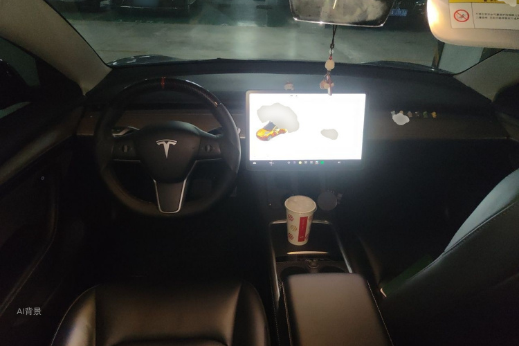Tesla Model 3 2021 imagem de carro #11