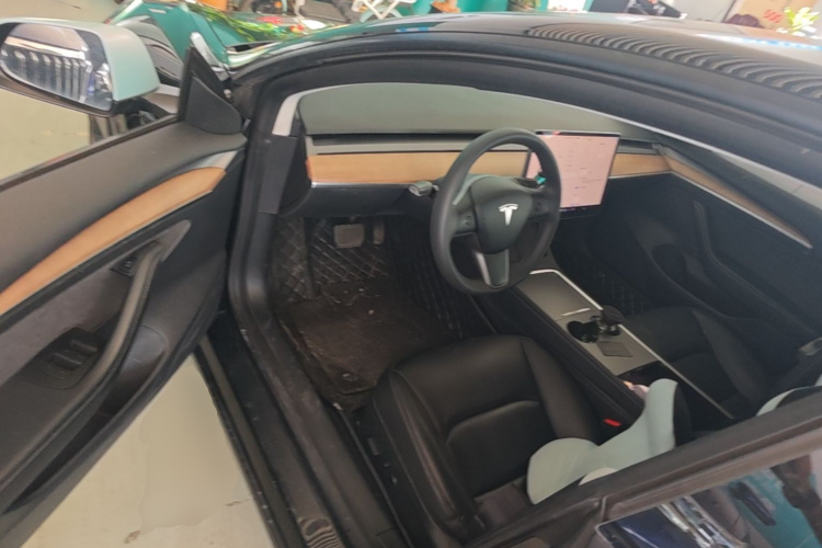 Tesla Model 3 2022 immagine di auto #16