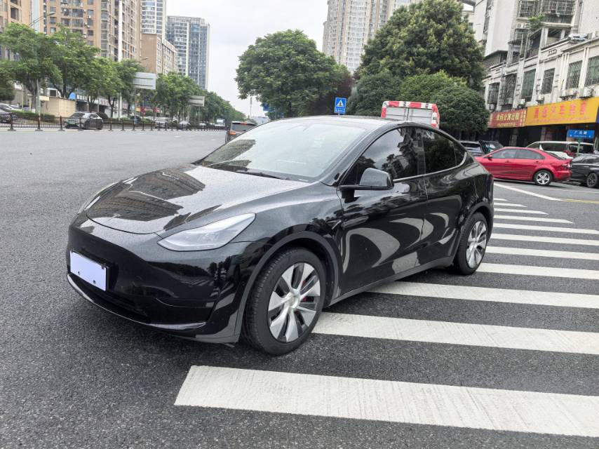 Tesla Model Y 2021 Tesla Model Y 2021 car image