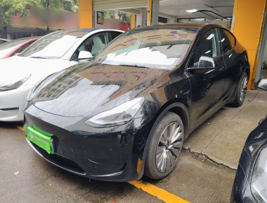 Tesla Model Y 2023 Tesla Model Y 2023 car image