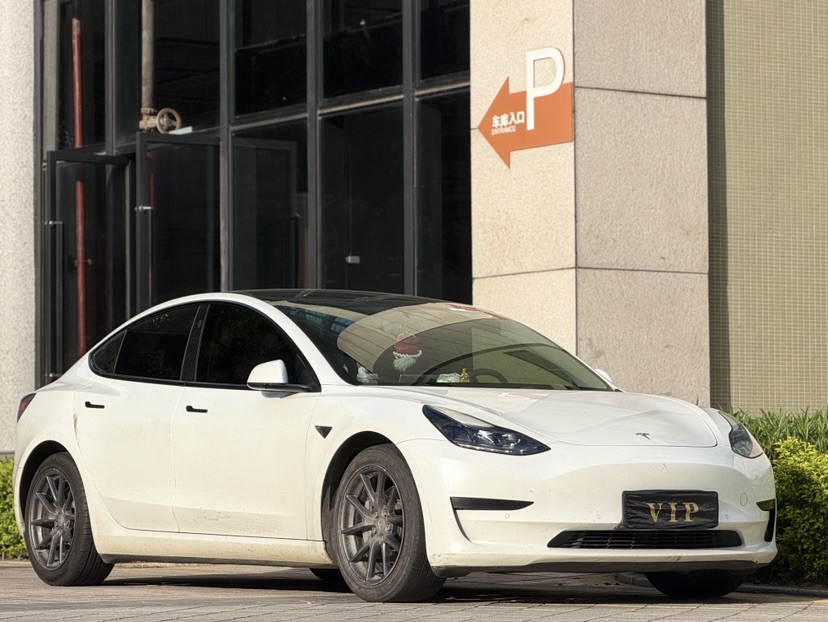 Tesla Model 3 2021 car image 