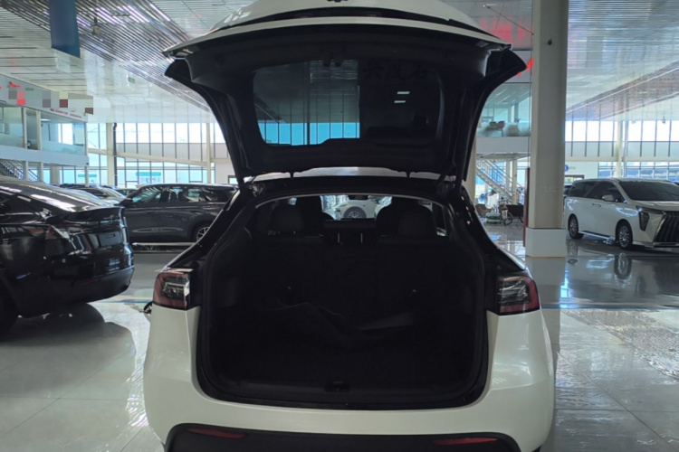 Tesla Model Y 2023 #21 Tesla Model Y 2023 car image #21