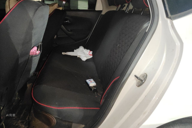 Volkswagen Polo 2015 car image #19
