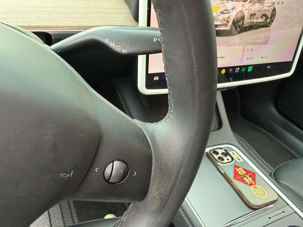Tesla Model 3 2023 car image #10
