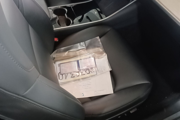 Tesla Model 3 2020 #24 Tesla Model 3 2020 car image #24