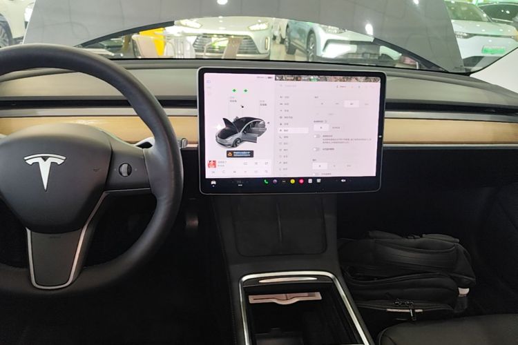Tesla Model 3 2021 #17 Tesla Model 3 2021 car image #17