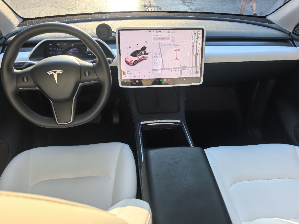 Tesla Model Y 2022 car image #6