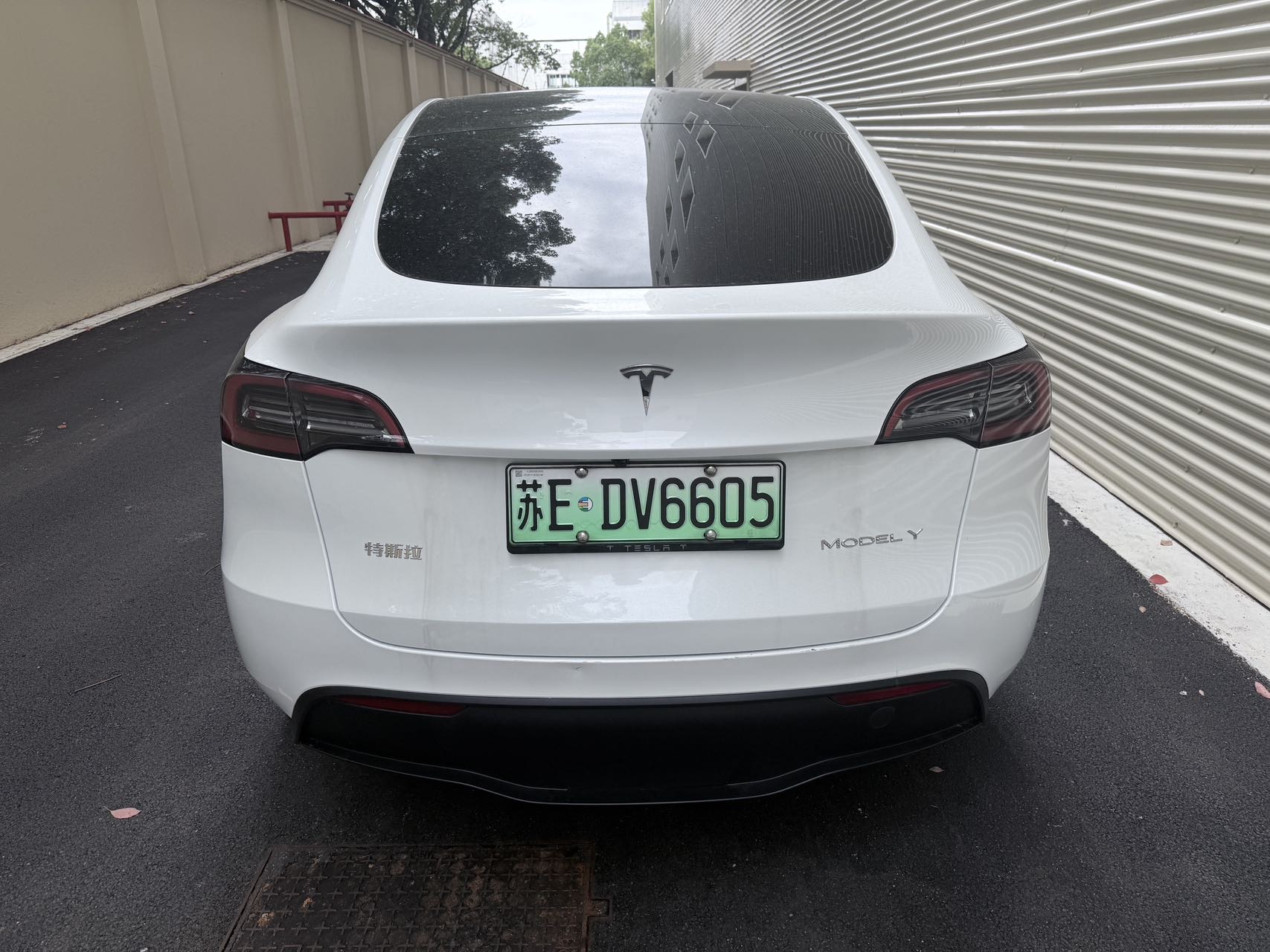 Tesla Model Y 2024 car image #8