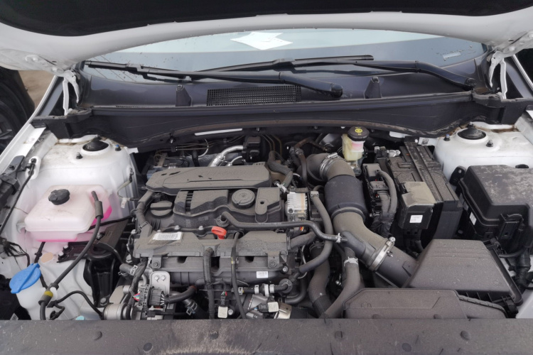 起亚 狮铂拓界 2025 汽车图片 #22