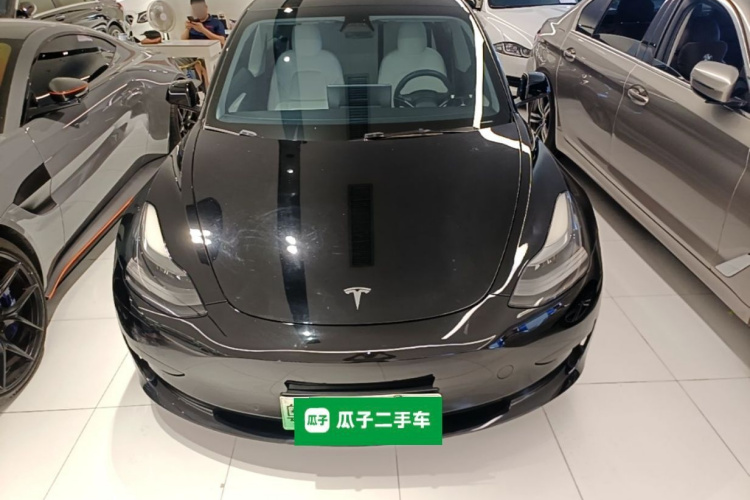 Tesla Model 3 2021 #3 Tesla Model 3 2021 car image #3