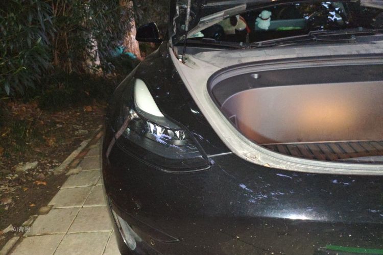 Tesla Model 3 2023 #8 Tesla Model 3 2023 صورة سيارة #8