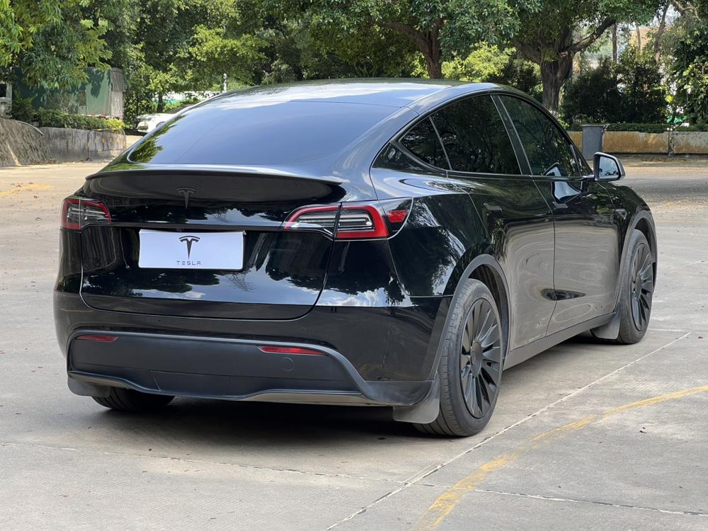 Tesla Model Y 2024 car image #6