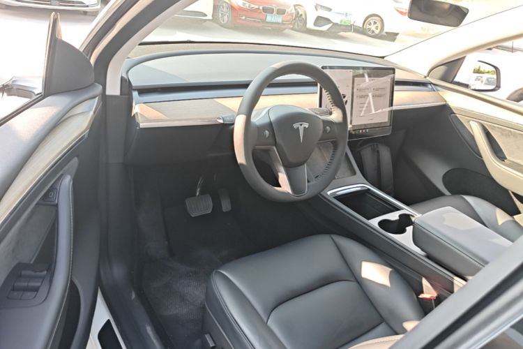 Tesla Model Y 2021 #16 Tesla Model Y 2021 car image #16