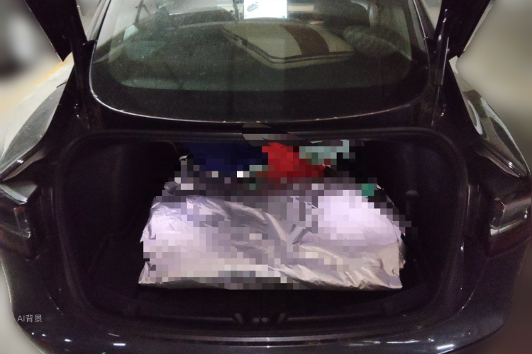 Tesla Model 3 2020 car image #21
