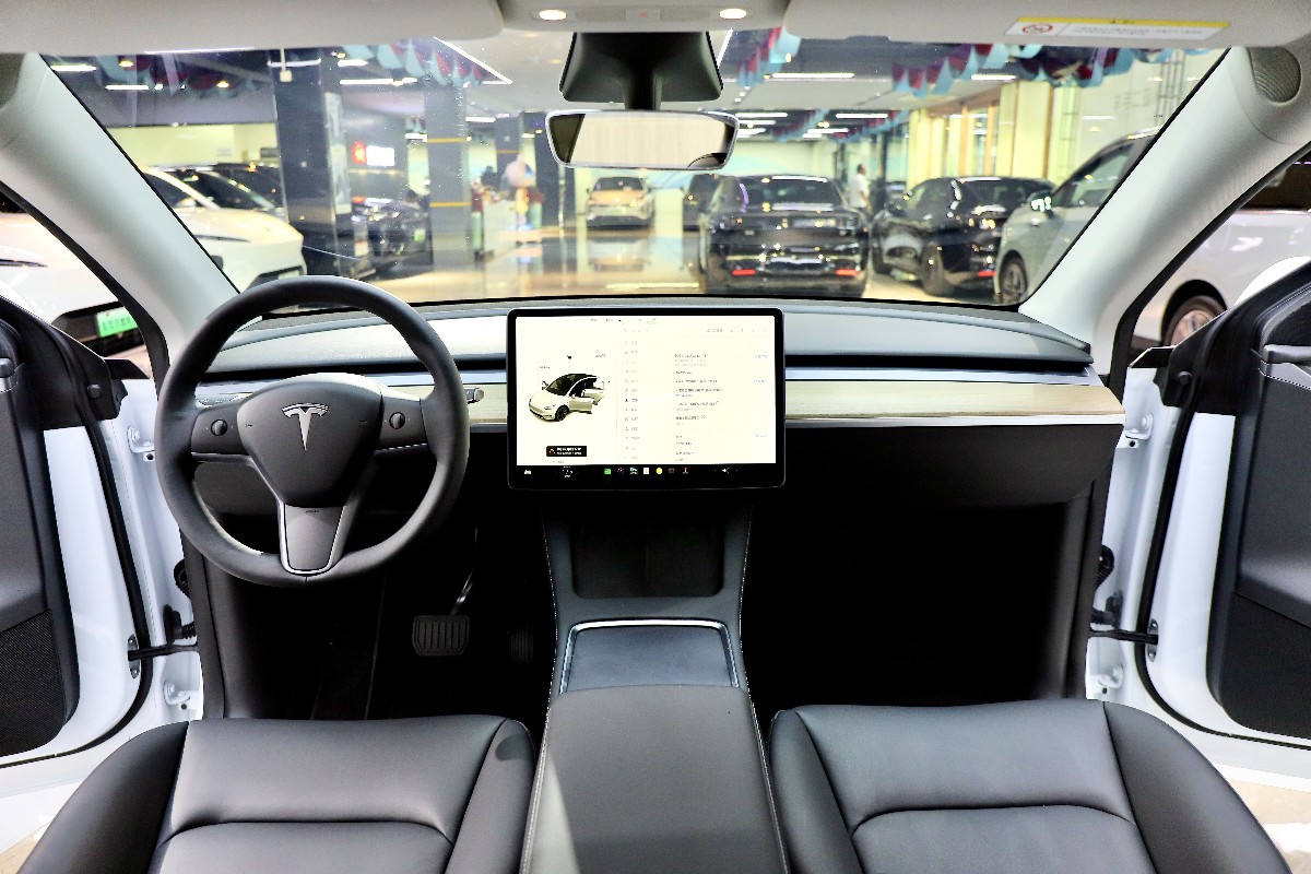 Tesla Model Y 2021 #7 Tesla Model Y 2021 изображение автомобиля #7