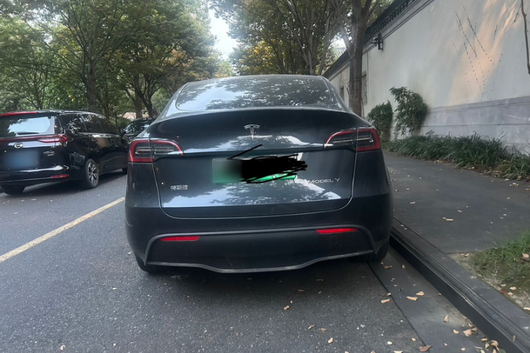 Tesla Model Y 2024 #9 Tesla Model Y 2024 car image #9
