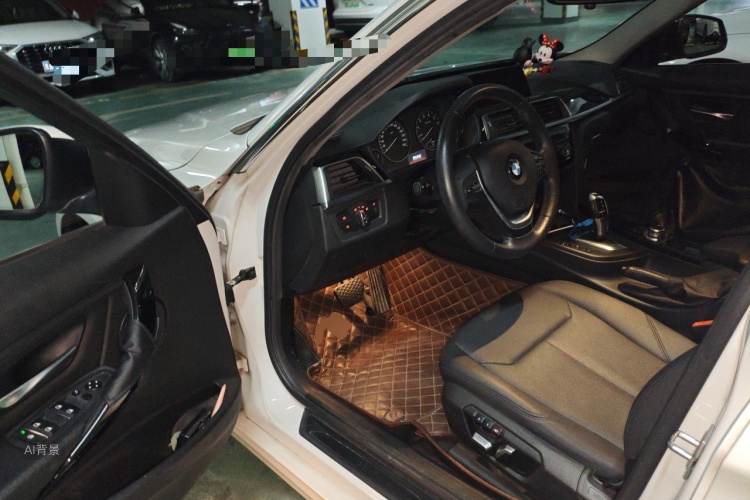 BMW 3 Series 2016 car image #18