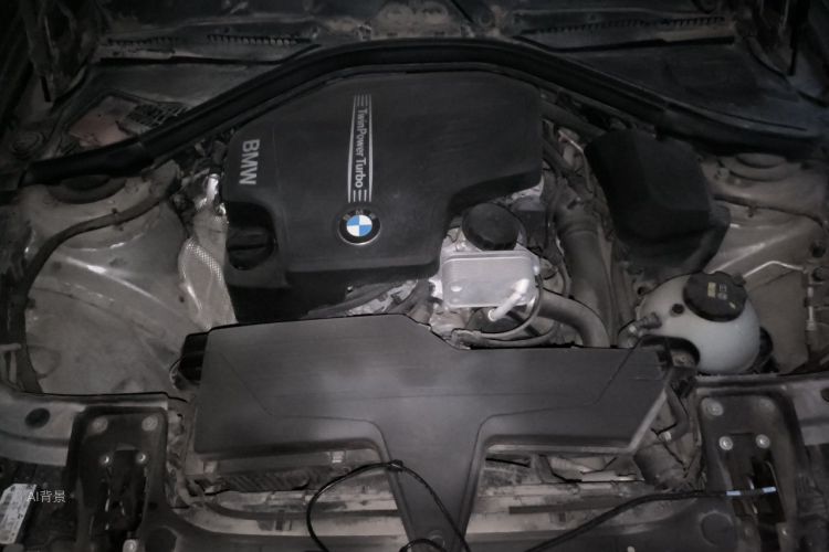 BMW 3 Series 2016 car image #22