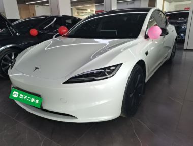 Tesla Model 3 2025 car image 