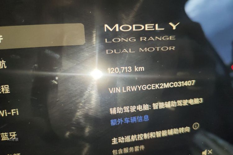 Tesla Model Y 2021 car image #14