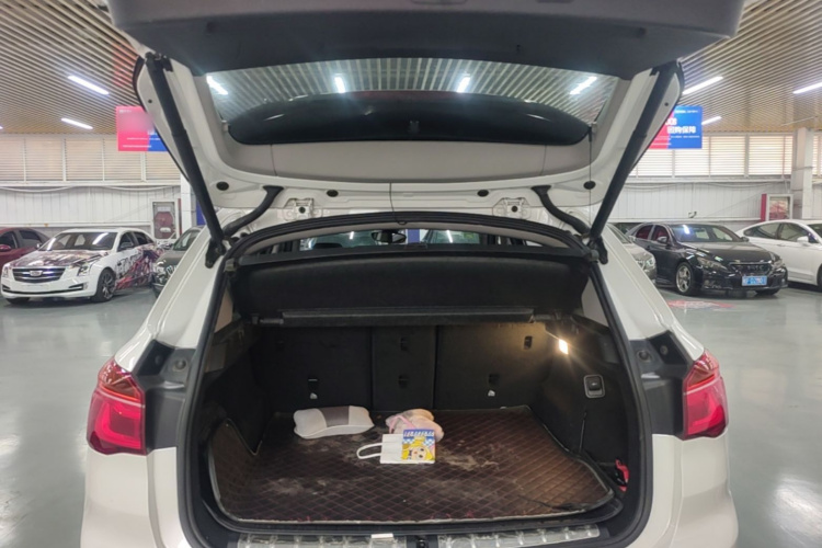 BMW X1 2017 #19 BMW X1 2017 immagine di auto #19