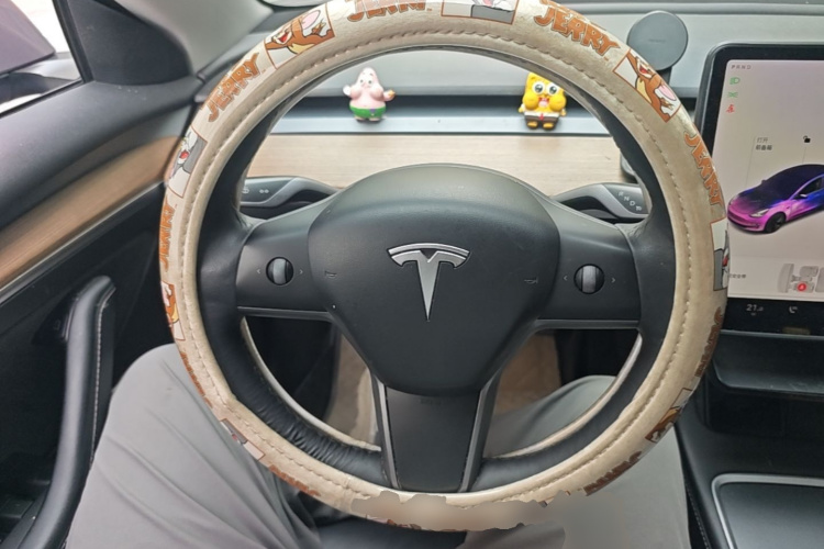 Tesla Model 3 2021 car image #11