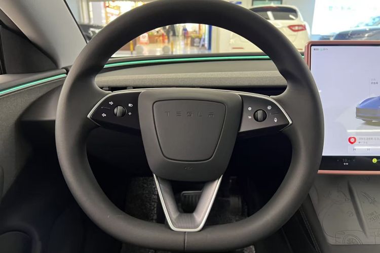 Tesla Model 3 2025 car image #20