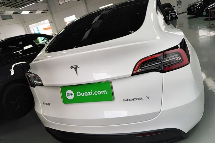 Tesla Model Y 2024 car image #6