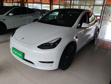 Tesla Model Y 2024 car image 
