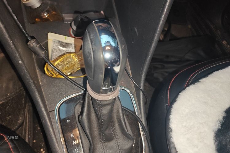 Volkswagen Polo 2017 car image #16