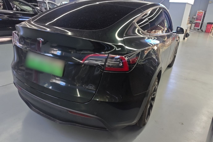 Tesla Model Y 2021 car image #7