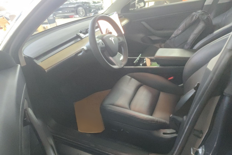 Tesla Model 3 2020 car image #15
