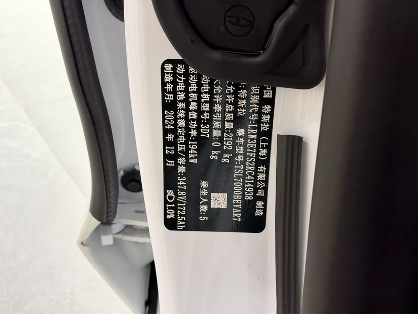 Tesla Model 3 2024 immagine di auto #7