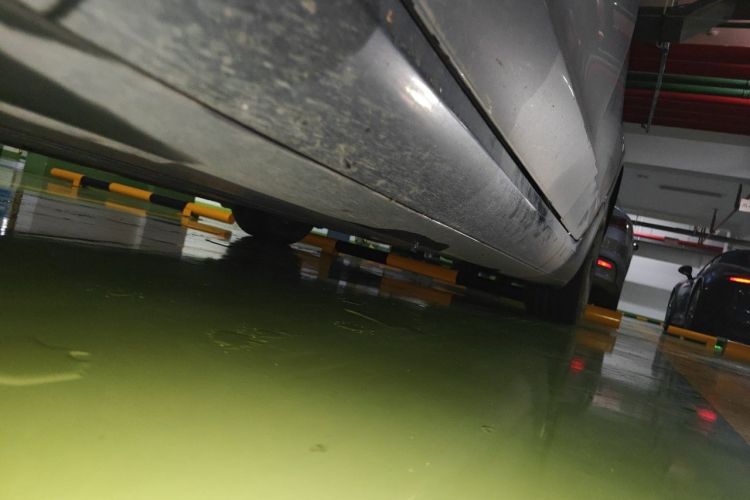 Tesla Model 3 2022 car image #22
