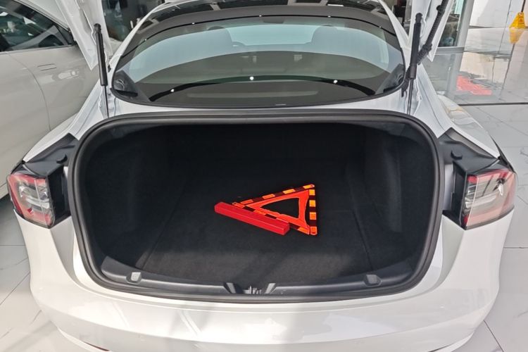 Tesla Model 3 2020 #19 Tesla Model 3 2020 car image #19