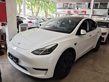 Tesla Model Y 2024 car image 