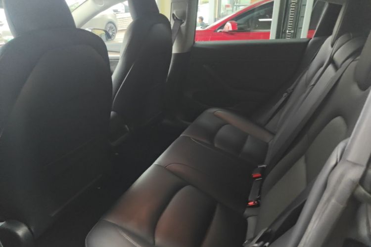 Tesla Model 3 2021 car image #17