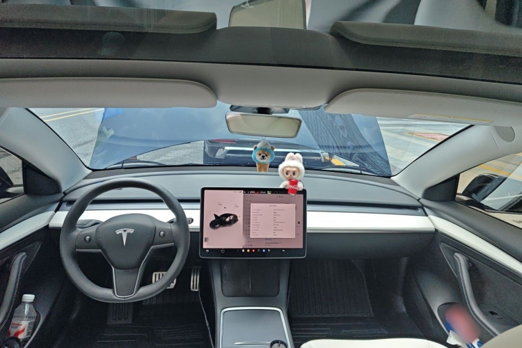 Tesla Model 3 2021 car image #12
