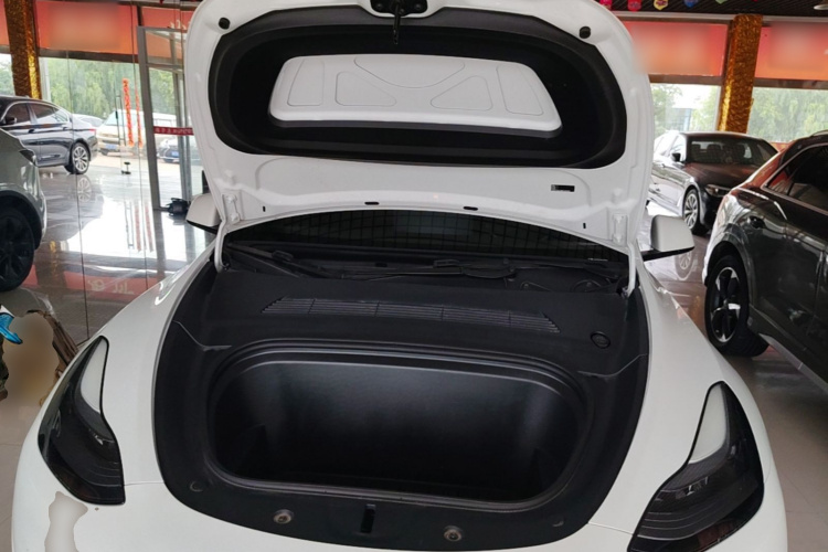 Tesla Model Y 2024 car image #20