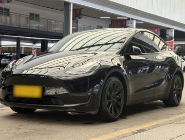Tesla Model Y 2021 Tesla Model Y 2021 car image