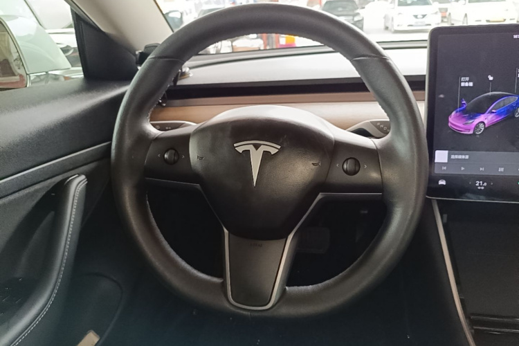 Tesla Model 3 2019 imagem de carro #15