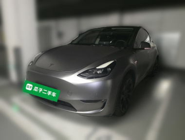 Tesla Model Y 2021 Tesla Model Y 2021 car image